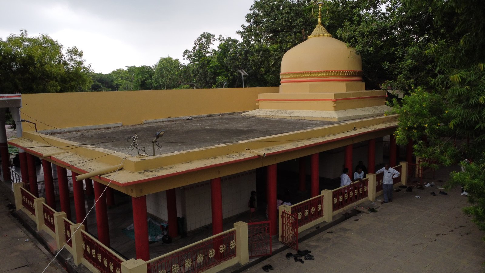 युवा सेवा दल